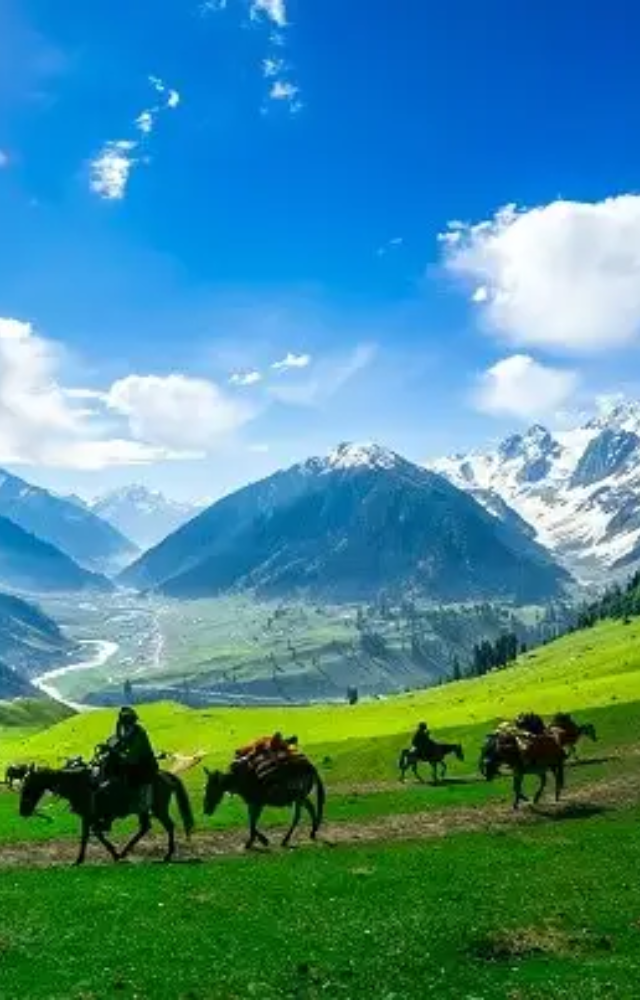 Best Summer Vacation Spots Within India 