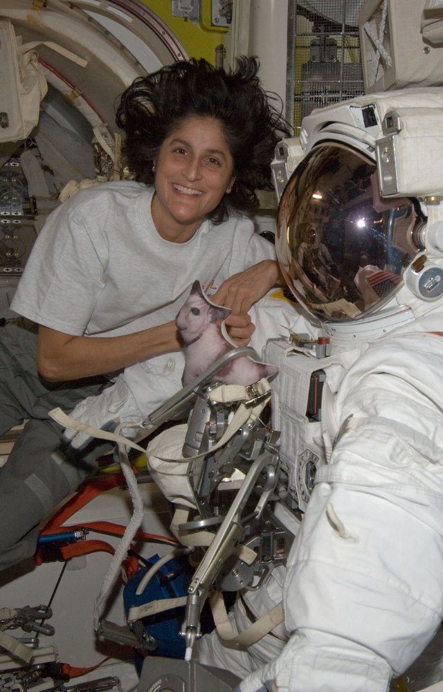 Effects of Prolonged Space Exploration