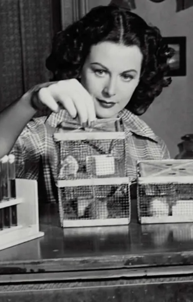 Hedy Lamarr, an actress` WWII tech 'frequency hopping' which was made to evade torpedoes, became the base of today`s Wi-Fi, GPS, and Bluetooth.