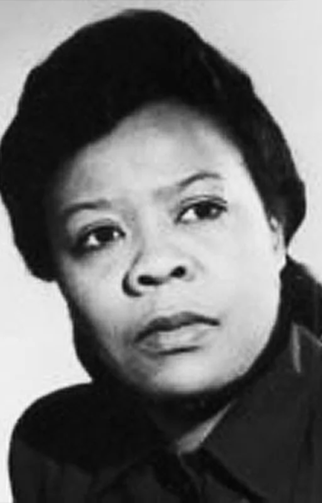 Marie Van Brittan Brown invented a CCTV security system in 1966. Her system included a camera that could slide between peepholes and a two-way microphone.
