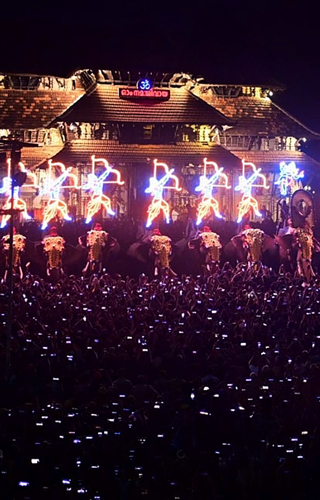 One of the highlights of Thrissur Pooram is the majestic procession of decorated elephants. These gentle giants, adorned with ornate gold-plated caparisons