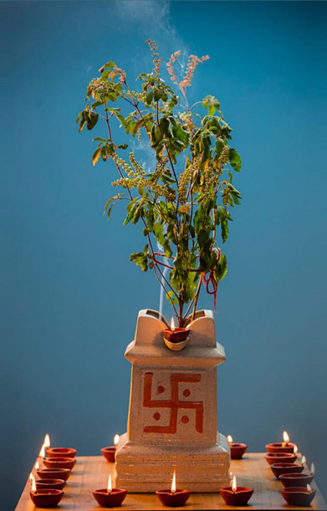 Tulsi Vivah: Remedies For Early Marriage