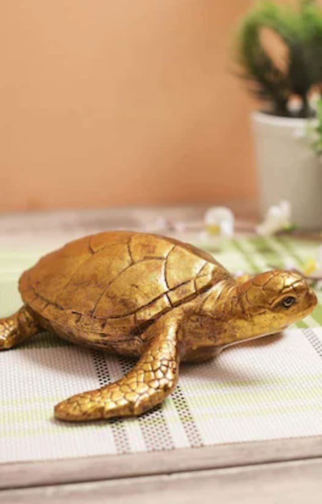 Keeping a metal tortoise facing north is considered auspicious. It is believed that an inside-facing tortoise will bring wealth and happiness to your home.