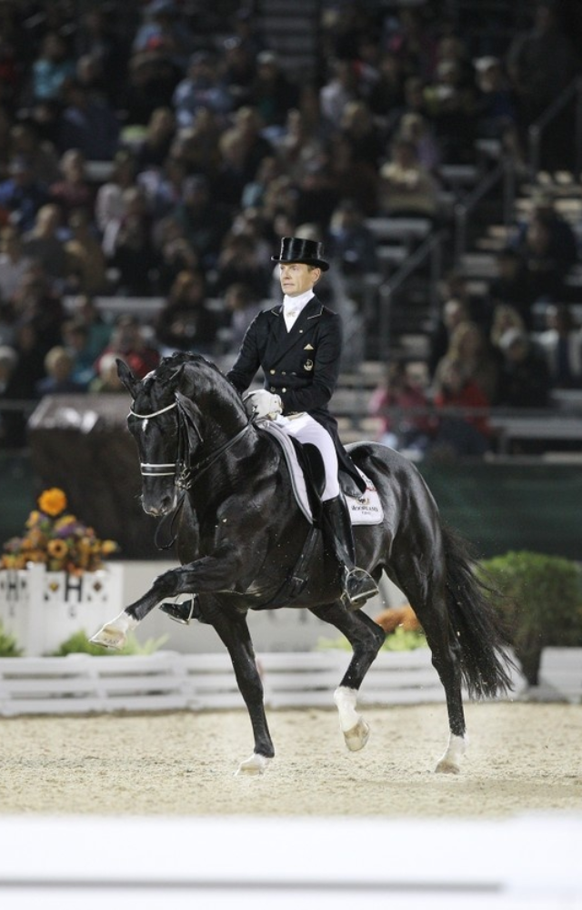 A Dutch Warmblood stallion famed for his grace and precision, Totilas was sold for millions and became a global equestrian icon.

