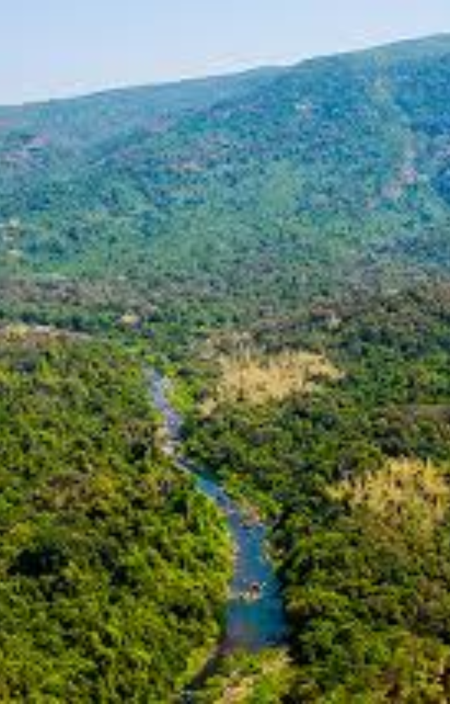 Famous for bat caves and the Mahadayi River`s origin, this lush forest hosts leopards, hornbills, and medicinal plants.
