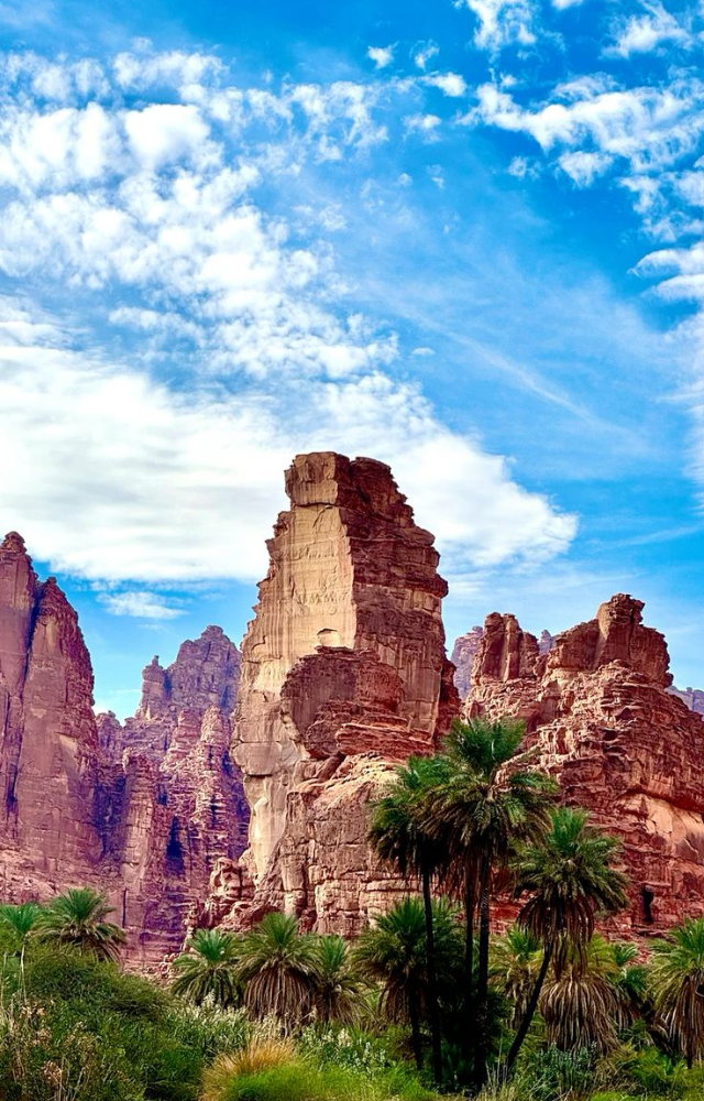 Located near the northwestern desert, Tabuk occasionally experiences snowstorms that blanket its sandy terrain.

