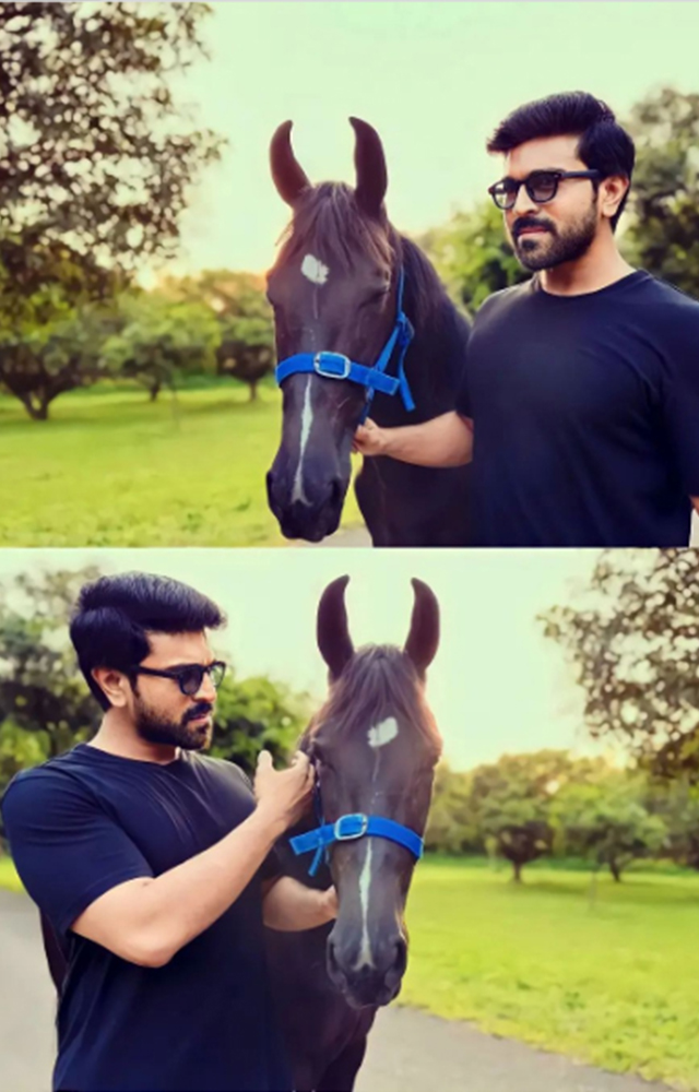 Ram Charan embraces Blaze, showing off their relationship to the crowd. The actor`s enthusiasm for horses is evident in this touching introduction.