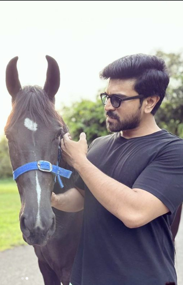 The horse enthusiast Ram Charan accepts Blaze into his household. In this adorable Instagram image, you can see the actor`s sincere love for horses.
