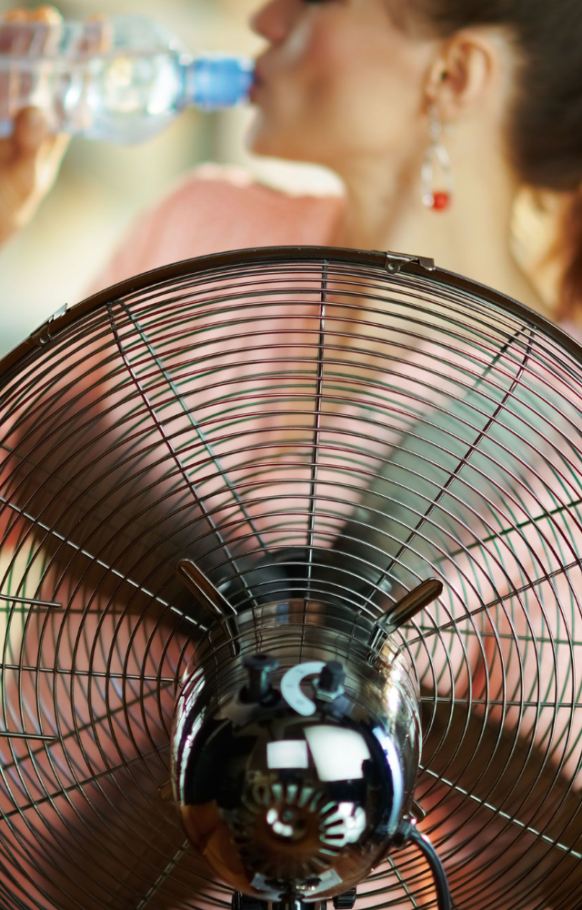 Given that they have cold blood, mosquitoes will tend to be more active in warm weather as opposed to cold or chilly conditions.