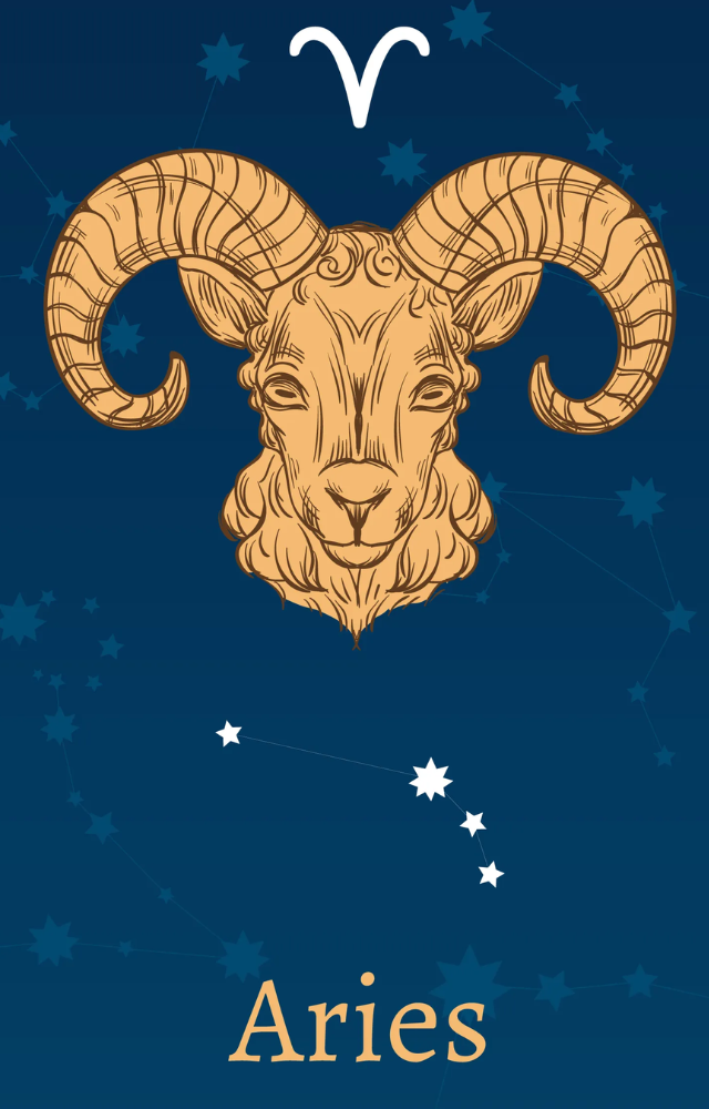 Through their business endeavors, Aries might anticipate money rewards as well as a rise in confidence while making financial judgments.