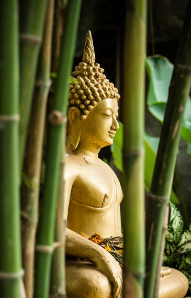 'Peace comes from within. Do not seek it without.'