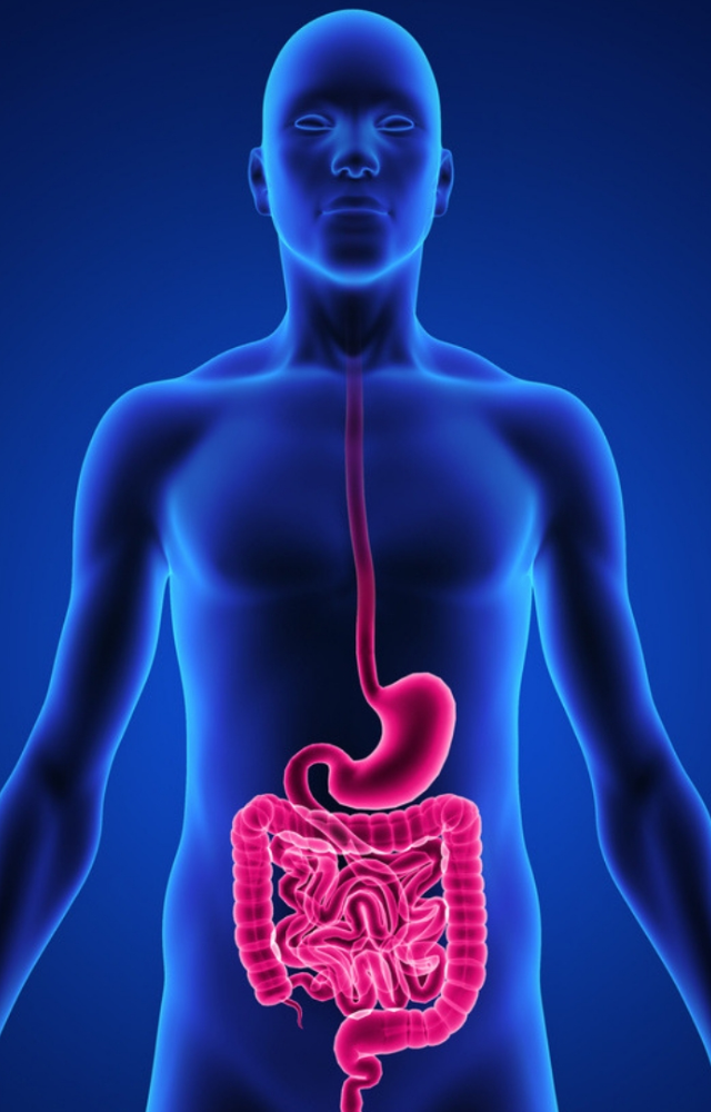 Added sugars are notorious for causing inflammation throughout the body and damaging gut health.