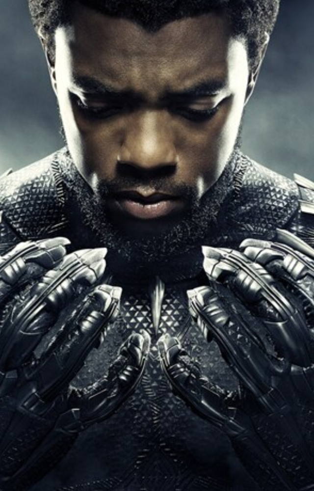 'Join 'Black Panther' as he travels to the technologically advanced country of Wakanda, where T`Challa, the recently crowned king