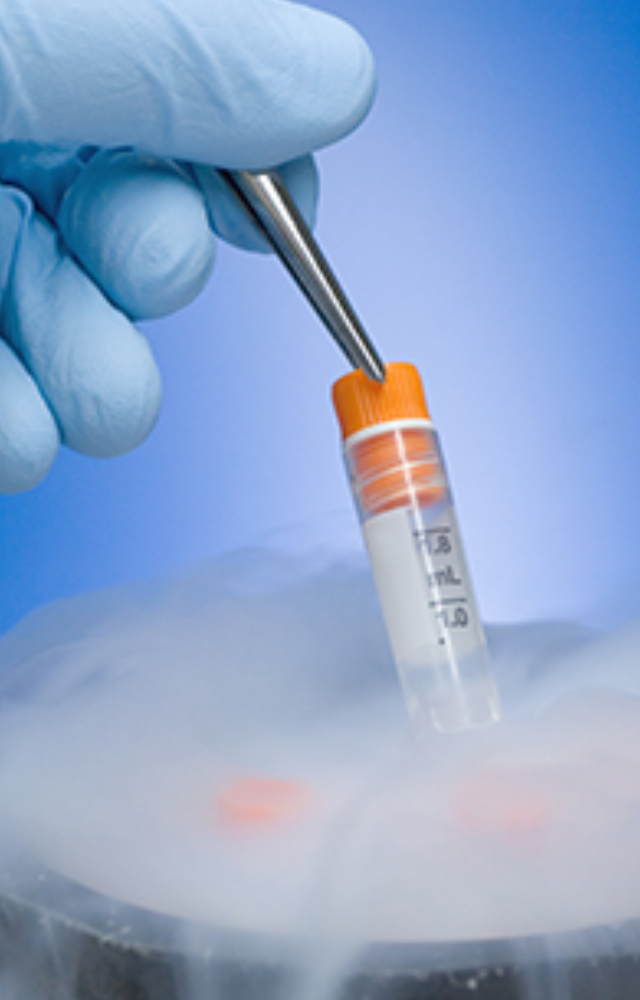 frozen eggs can be kept for ten years or more, depending on the reproductive clinic`s rules and guidelines.