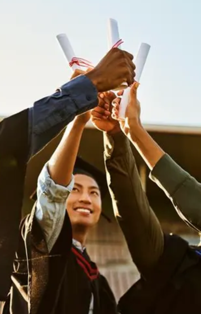 Take undergraduate courses in science, engineering, medicine, business, or the arts.