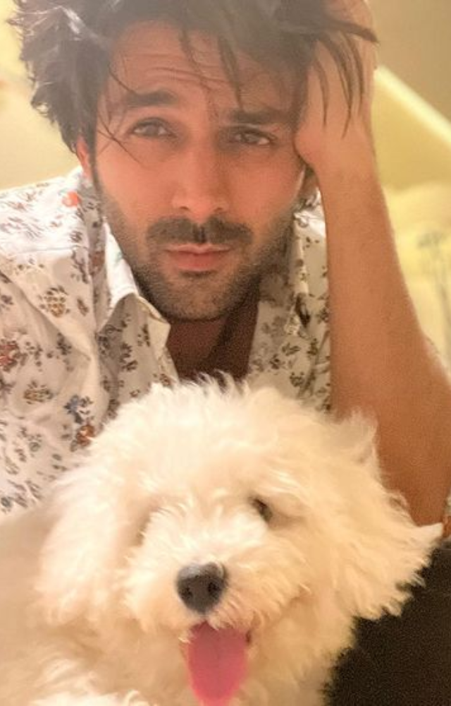 Kartik Aaryan celebrates with Katori, his furry friend. A heartwarming birthday filled with love and laughter.