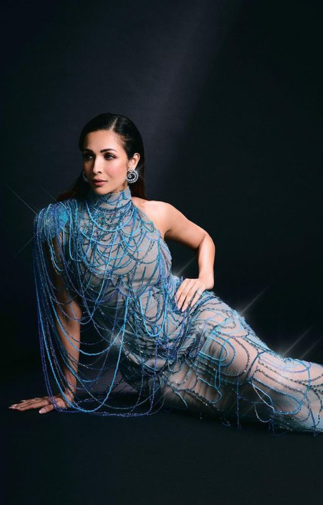 Malaika Arora Looks Amazing in Blue Gown