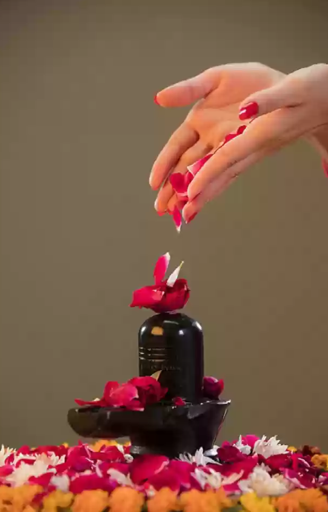 Remember to offer pure and sincere prayers and offerings to the Shiva Linga, acknowledging its divine presence and seeking blessings for yourself