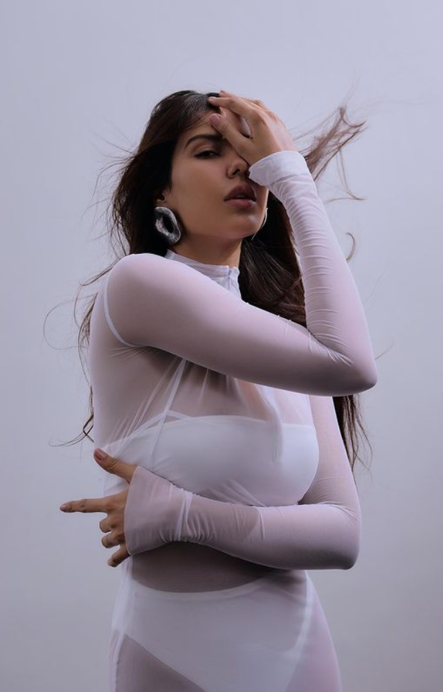 Sonam Bajwa adorned in a white net dress