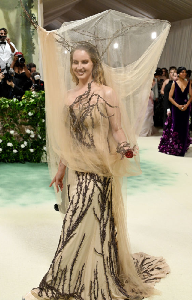 Lana Del Rey let McQueen turn her into a wistful tree. Even though Lana Del Rey doesn`t attend the Met Gala too often, she always makes an impression.