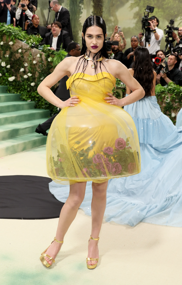 See Amelia Gray Hamlin`s Incredible Garden-Inspired Look for Her Met Gala Debut in 2024,She`s a Walking Terrarium

