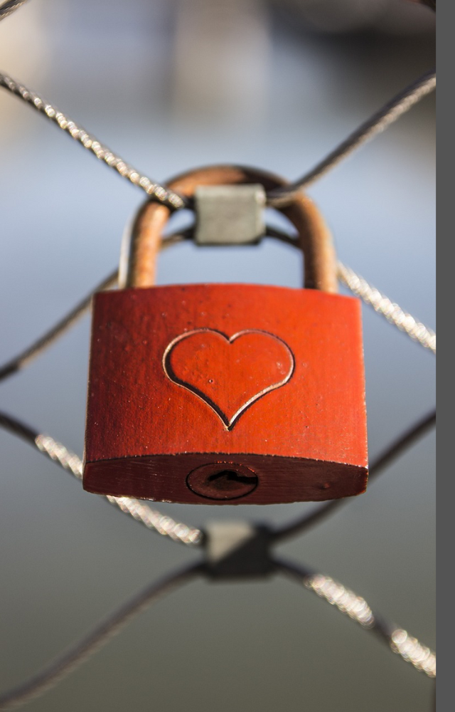 Valentine`s Week 2024: Dates & Importance