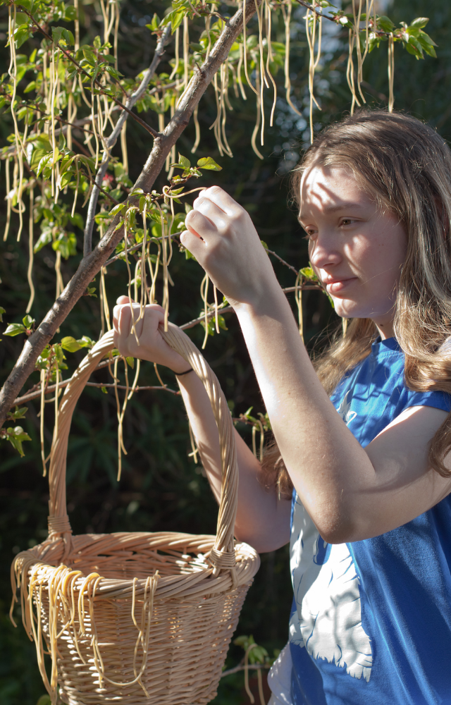 BBC tricked viewers into believing that spaghetti grew on trees in Switzerland. Many even called in, asking how to grow their own!