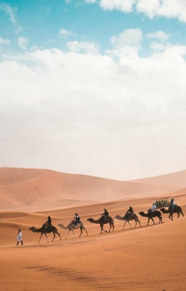 Thrill-seekers will love dune bashing, sandboarding, and luxury camps in the Arabian Desert.