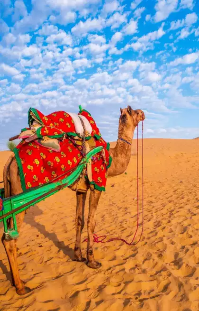 Top Desert Escapes for 2025 Adventures