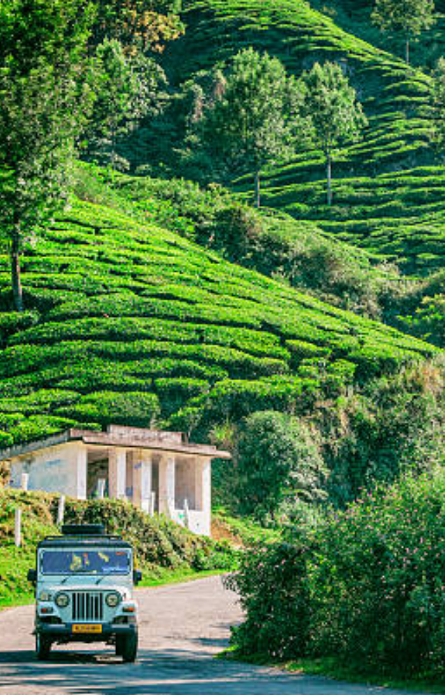 Walk hand in hand through lush tea gardens, misty hills, and peaceful resorts tucked away in nature.