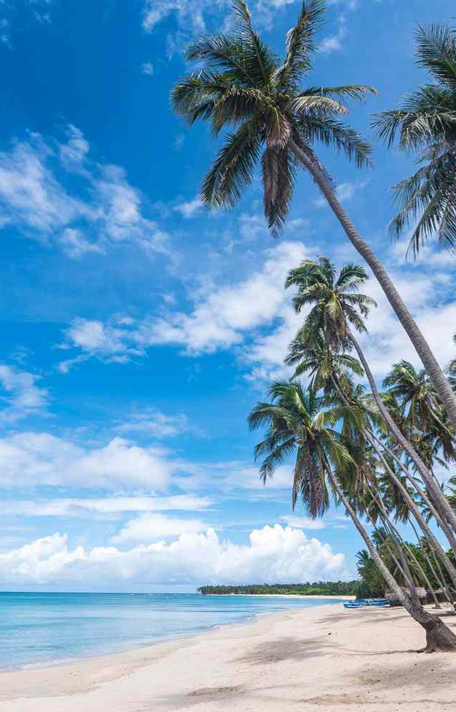 Tropical Islands for a Dream Getaway