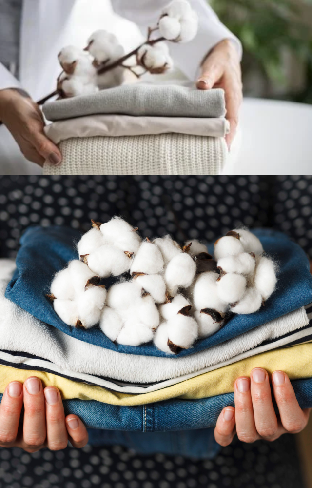 Explore how cotton contributes to sustainable fashion and eco-friendly consumer options.