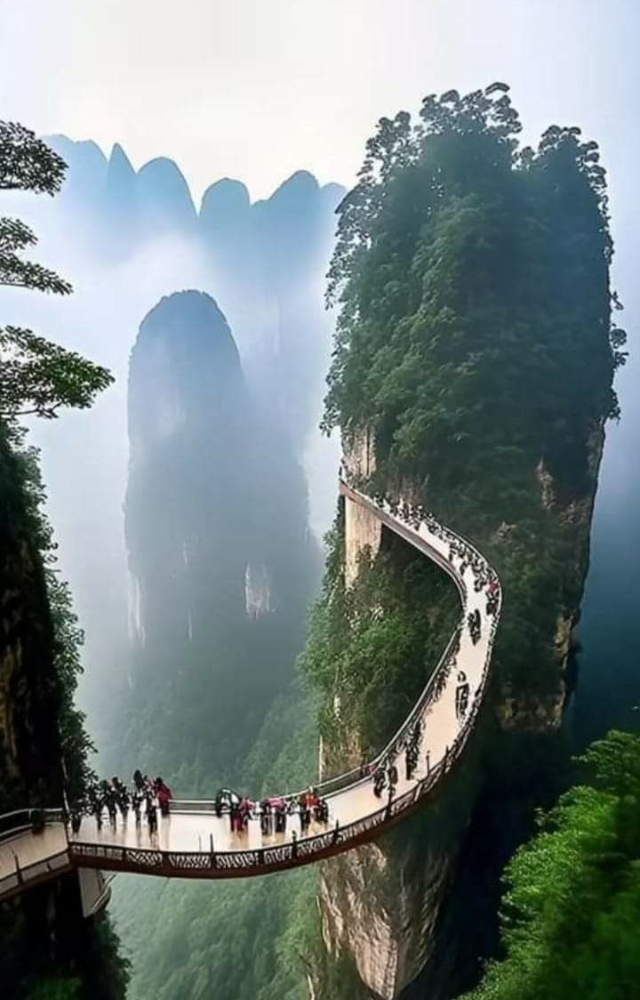 Towering sandstone pillars inspired the floating Hallelujah Mountains in Avatar—a surreal vertical forest.

