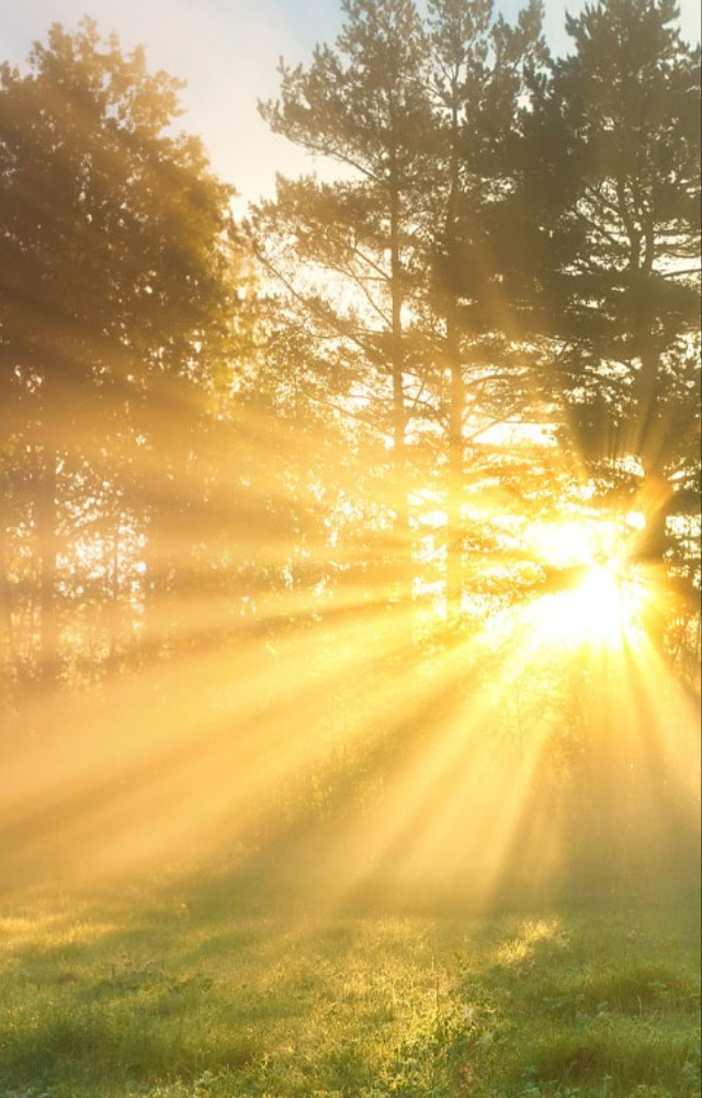 Soaking up 10–15 minutes of morning sun helps reset your body clock and boosts alertness naturally.