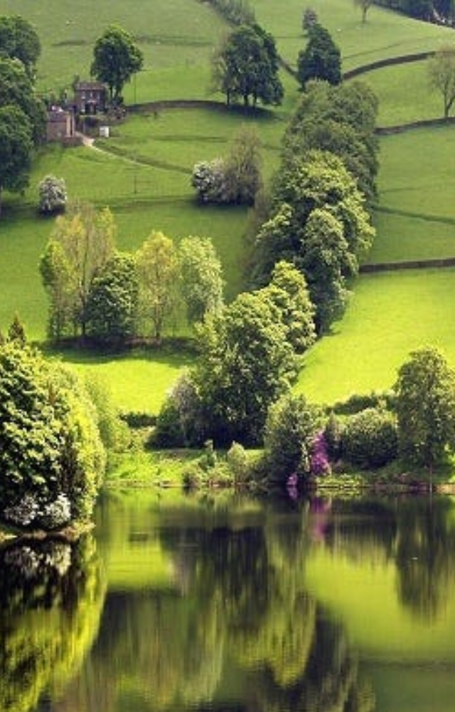 With its rolling tea plantations and misty hills, Munnar feels like a Swiss countryside retreat.