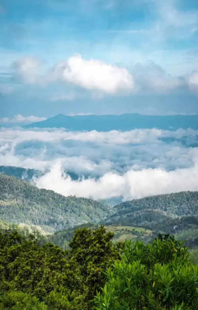Nicknamed the ‘Scotland of India,’ Coorg’s lush landscapes and cool climate are truly mesmerizing.