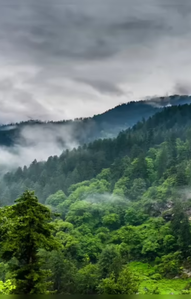 Wildlife of Great Himalayan Park