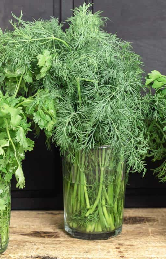 Trim the ends and place fresh herbs in a glass of water. Cover loosely with a bag and refrigerate for lasting freshness.
