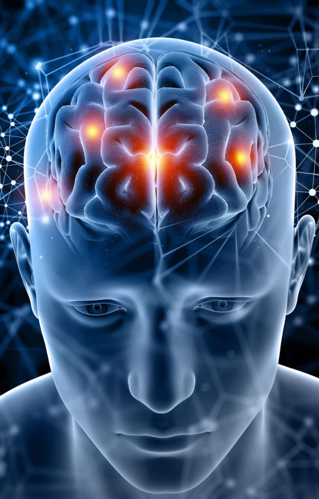 Contains caffeine and L-theanine, which improve focus, memory, and cognitive performance.
