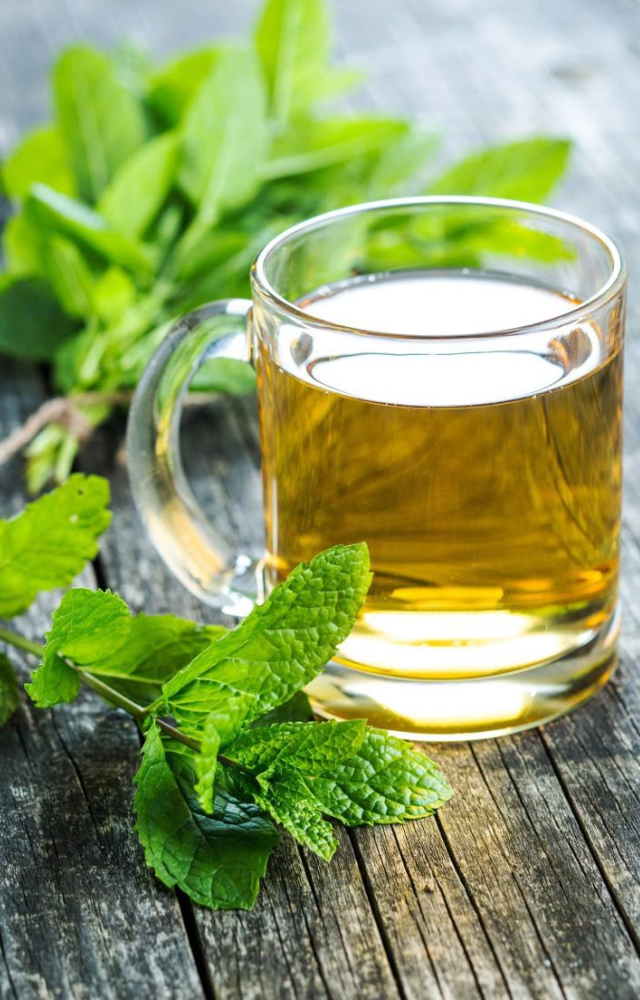Benefits of Drinking Green Tea