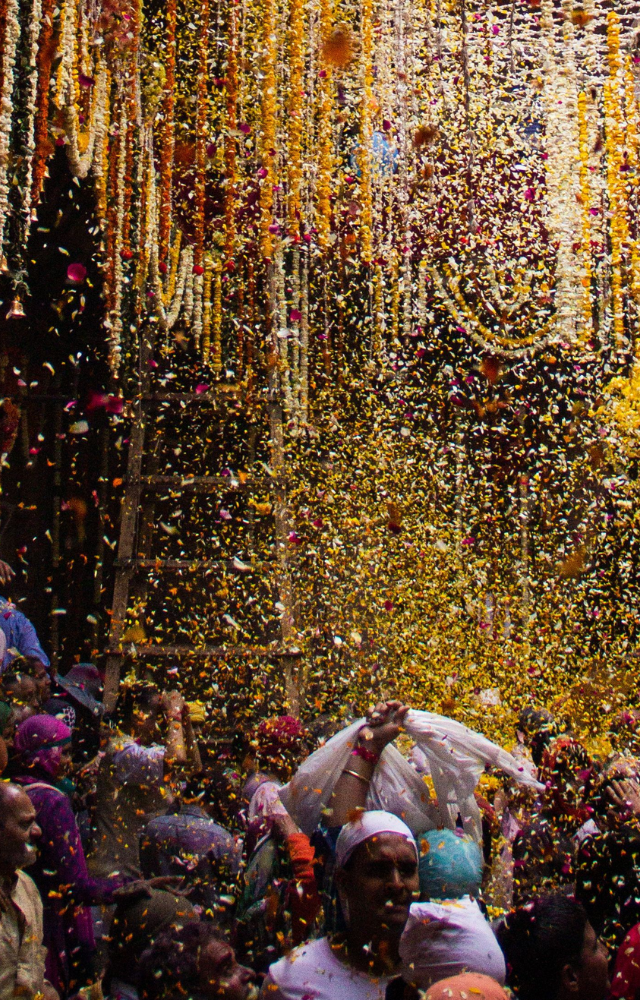 Witness a divine celebration in Vrindavan, where Holi is played with flowers instead of colors, creating a mesmerizing and spiritual experience.