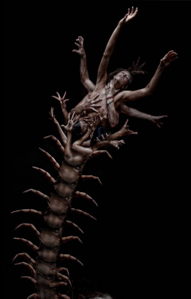 Notorious for its disturbing premise, this film is for the boldest horror enthusiasts.
