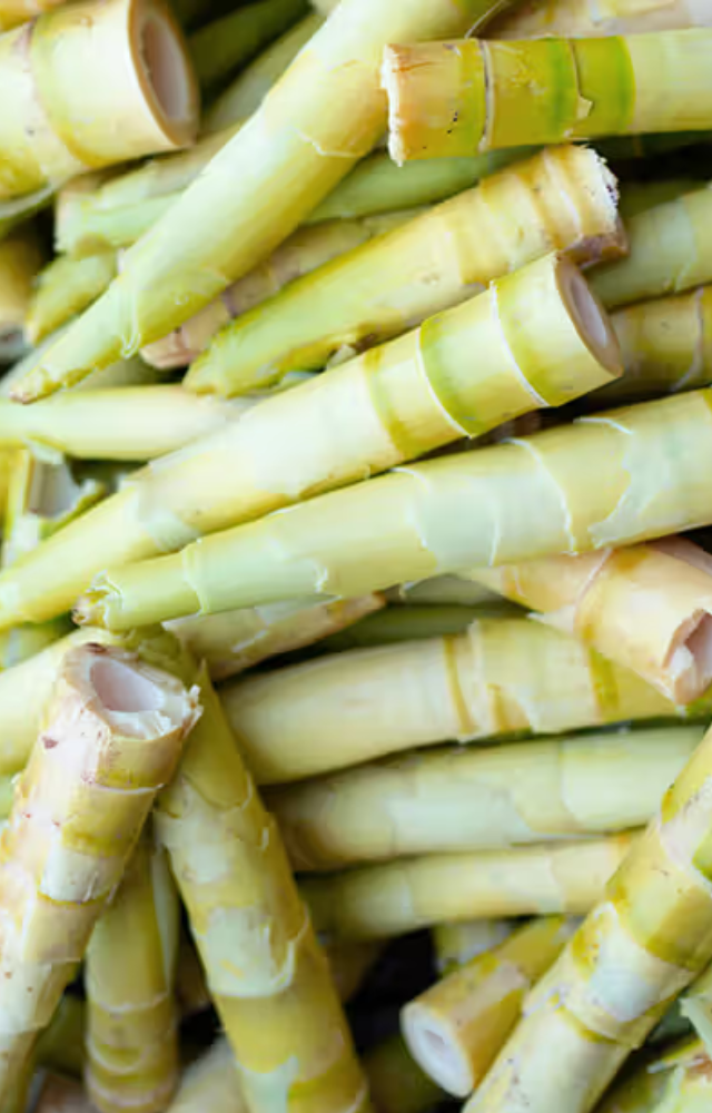 Freshly harvested bamboo shoots add crunch and umami to curries and pickles. A must-have in Assam and Manipur.