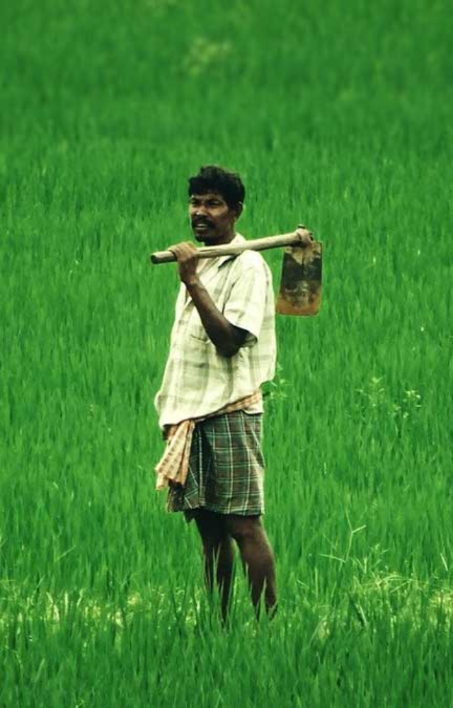 Farming halts when conflict breaks out. Fields lie abandoned, and income vanishes, pushing entire communities to the brink of poverty.