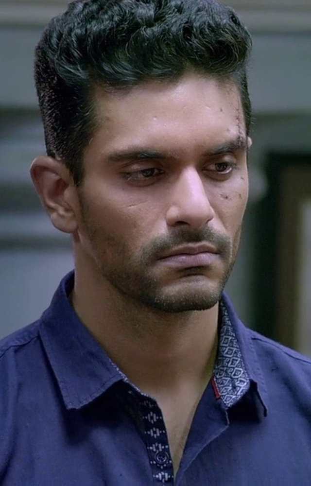 His role in Pink (2016) alongside Amitabh Bachchan and Taapsee Pannu earned him critical acclaim.