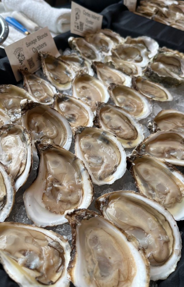Once peasant food, now a prized luxury seafood served fresh. Known for their briny flavor and high price per piece.