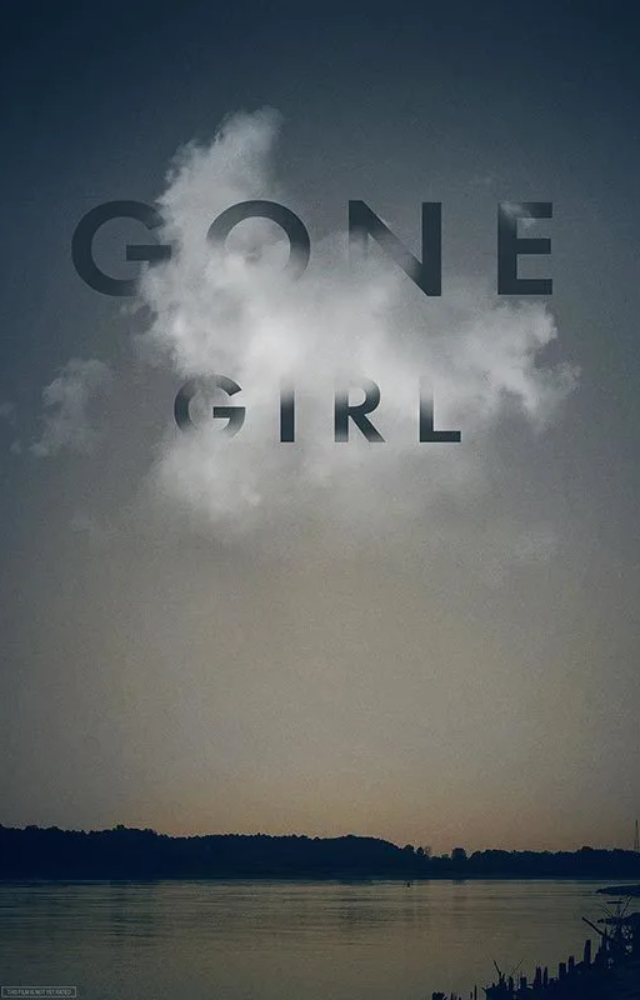 A psychological thriller exploring deception, betrayal, and a chilling disappearance.