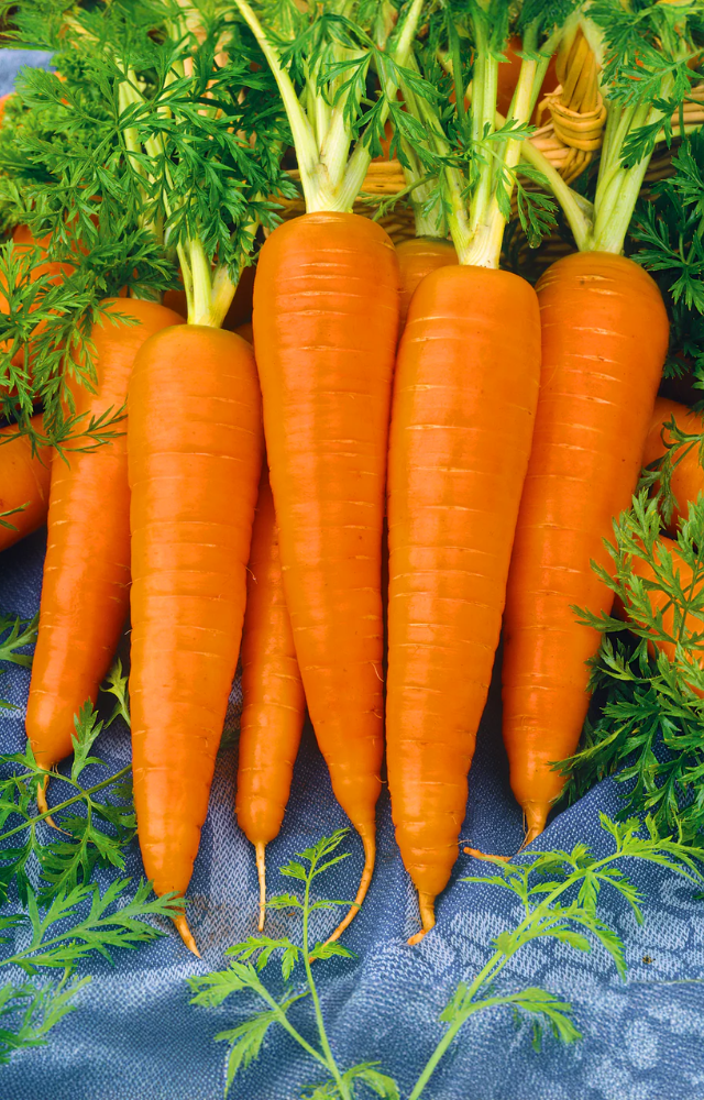 Heat breaks down cell walls in carrots, releasing more beta-carotene, which is vital for eye and skin health.