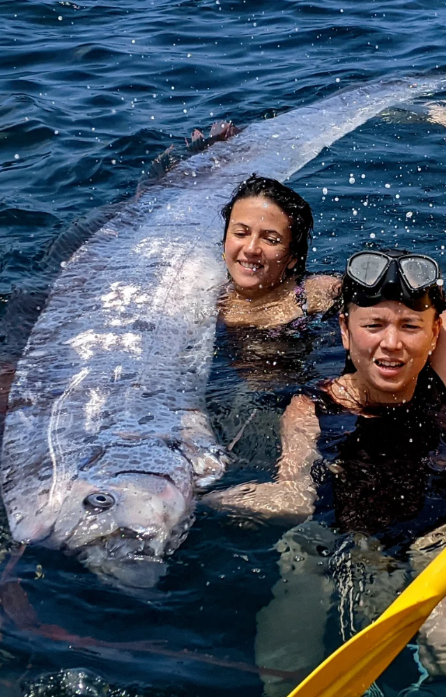 The Mysterious Deep-Sea Oarfish