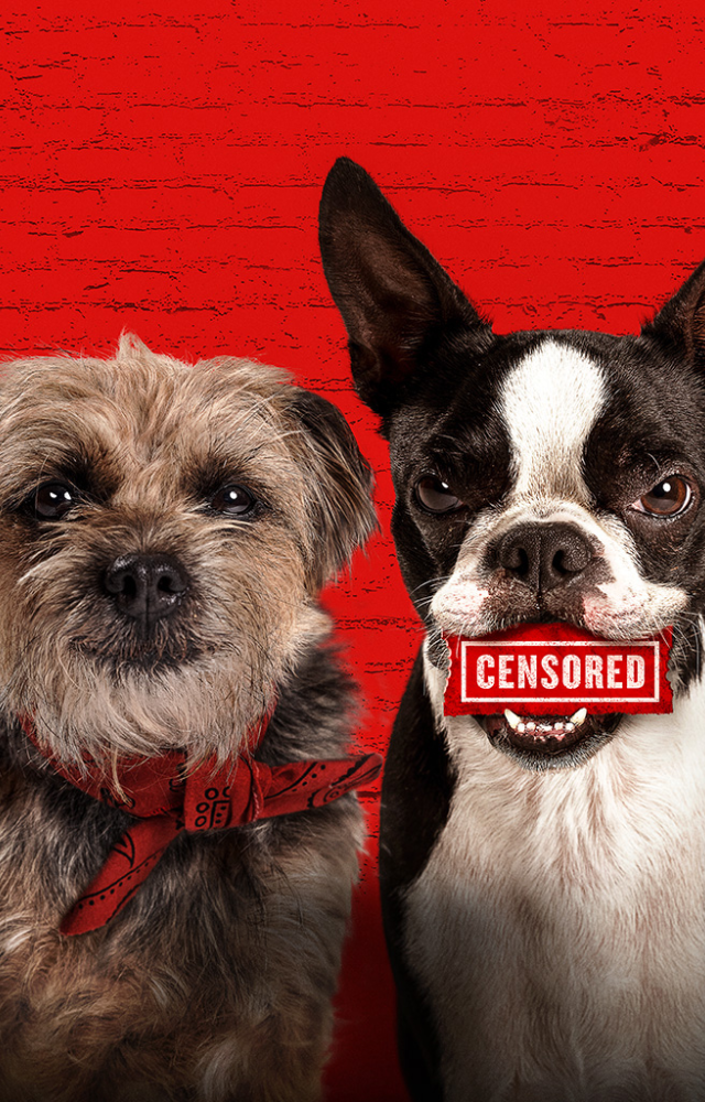 A dark comedy where abandoned dogs find strength in friendship—and take revenge on the owner who left them.